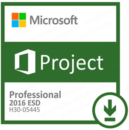 Project Professional 2016